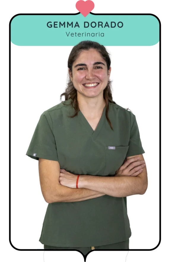 Gemma Final (Copiar)